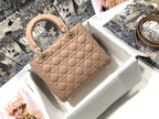 LO - DYOR   BAGS FOR WOMEN - FASHION LUXURY BAGS 124