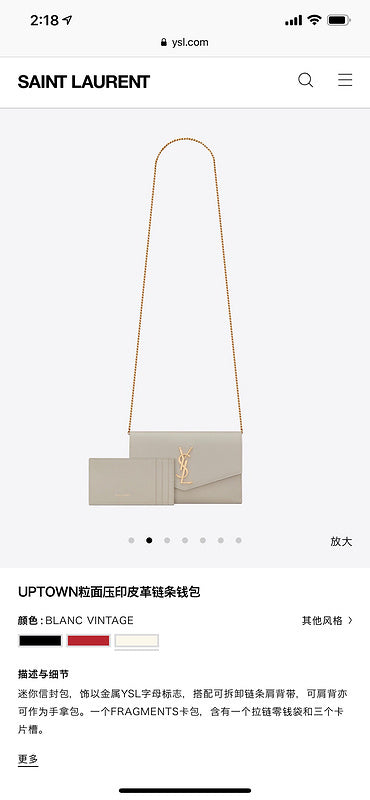 BB - YSL Bag - 3701