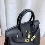 LO - HRMS LUXURY BAGS - 457