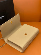 BB - YSL Bag - 2020