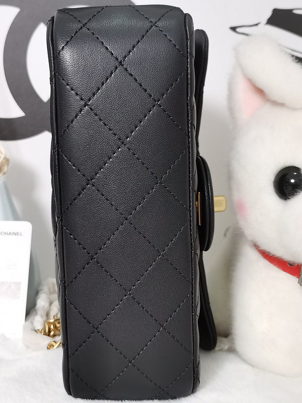 LO - CHL Bags - 2494