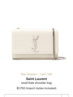 BB - YSL Bag - 3647