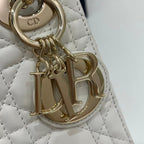 LO - DYOR   BAGS FOR WOMEN - FASHION LUXURY BAGS 001