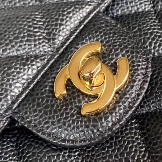 LO - CHL  BAGS FOR WOMEN - FASHION LUXURY BAGS -2356