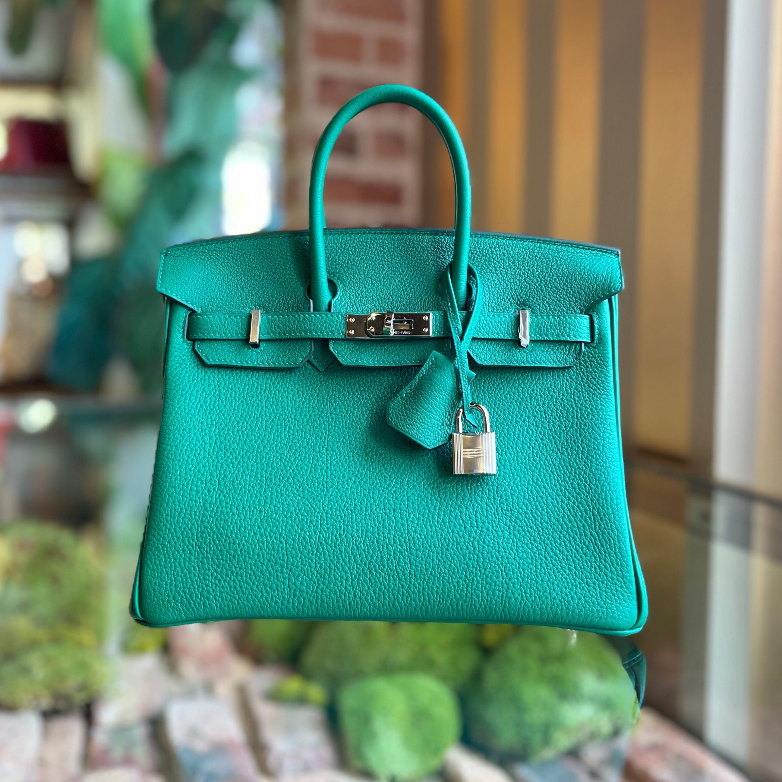 HRMS Birkin 25 Togo Satchel Bag