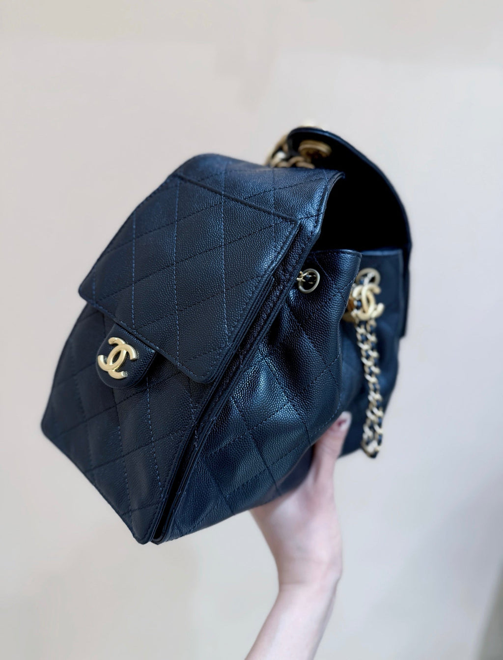 CC 25S Hobo Bag 25cm Black Calfskin