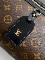 LV Teddy Mitt Handbag Brown in Canvas Monogram Shearling 278110