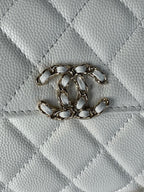 LO - CHL Bags - 2421