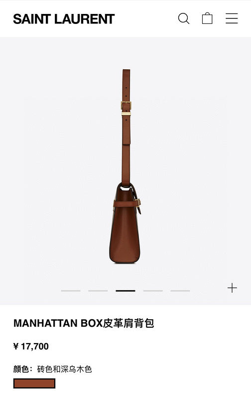 BB - YSL Bag - 3742
