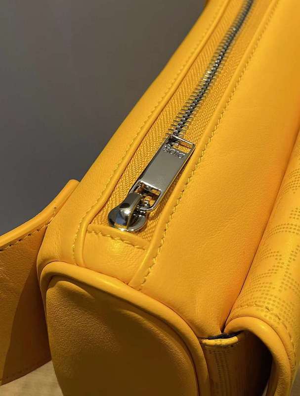 LO - DYOR   BAGS FOR WOMEN - FASHION LUXURY BAGS 389