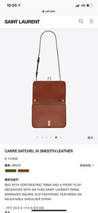 BB - YSL Bag - 3785