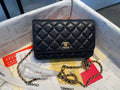 LO - CHL  BAGS FOR WOMEN - FASHION LUXURY BAGS - 243