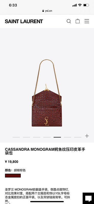 BB - YSL Bag - 3667