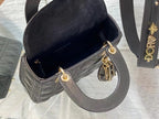 LO - DYOR   BAGS FOR WOMEN - FASHION LUXURY BAGS 002