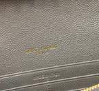 BB - YSL Bag - 2015