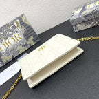 CARO POUCH 19 BAG IN WHITE CALFSKIN