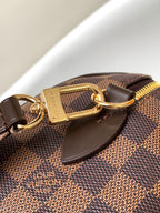 LV Speedy Bandoulière 20cm Brown Damier Ebene Canvas GHW