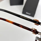 MONTAIGNE SUNGLASS CD8977 IN ACETATE