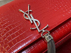 YSL BAGS - WOMEN LOVE LUXURY BAGS - 1897