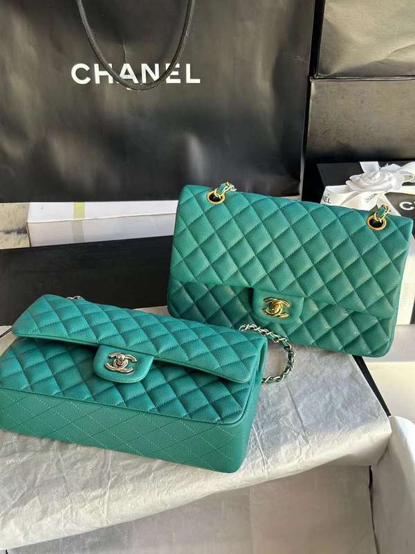 LO - CHL  BAGS FOR WOMEN - FASHION LUXURY BAGS - 560