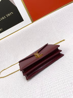 YSL BAGS - WOMEN LOVE LUXURY BAGS - 1166