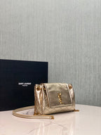 BB - YSL Bag - 2073