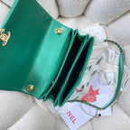CHL - Large Flap Bag Gold Hardware Green For Women Handbags, Shoulder Bags 9.1in/23LO AS3367