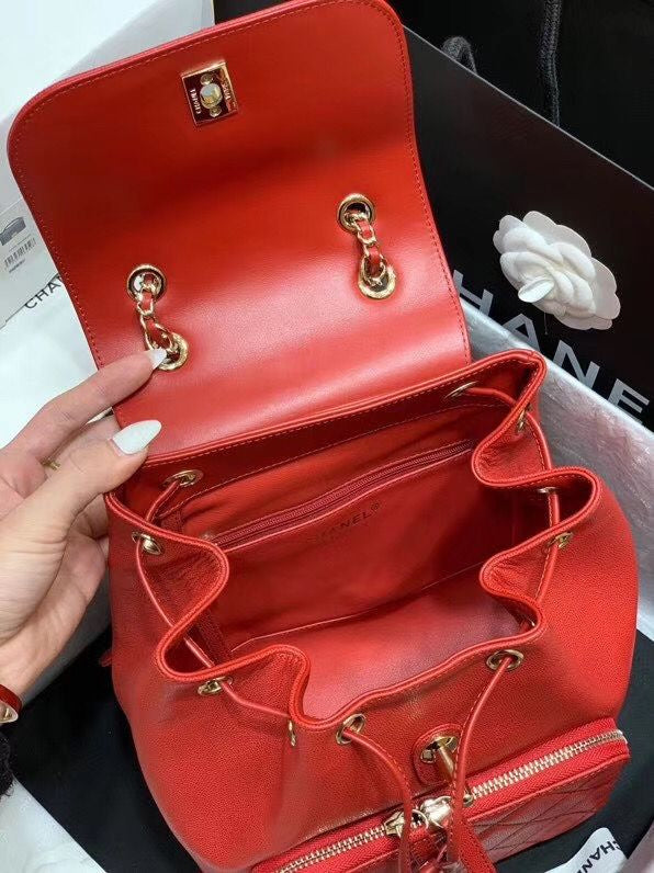 LO - CHL  BAGS FOR WOMEN - FASHION LUXURY BAGS -2331