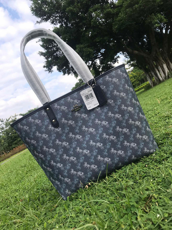 LO - CCH Bags - 499