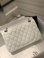 LO - CHL  BAGS FOR WOMEN - FASHION LUXURY BAGS -2081