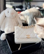 LO - LUXURY CHL BAGS - 611