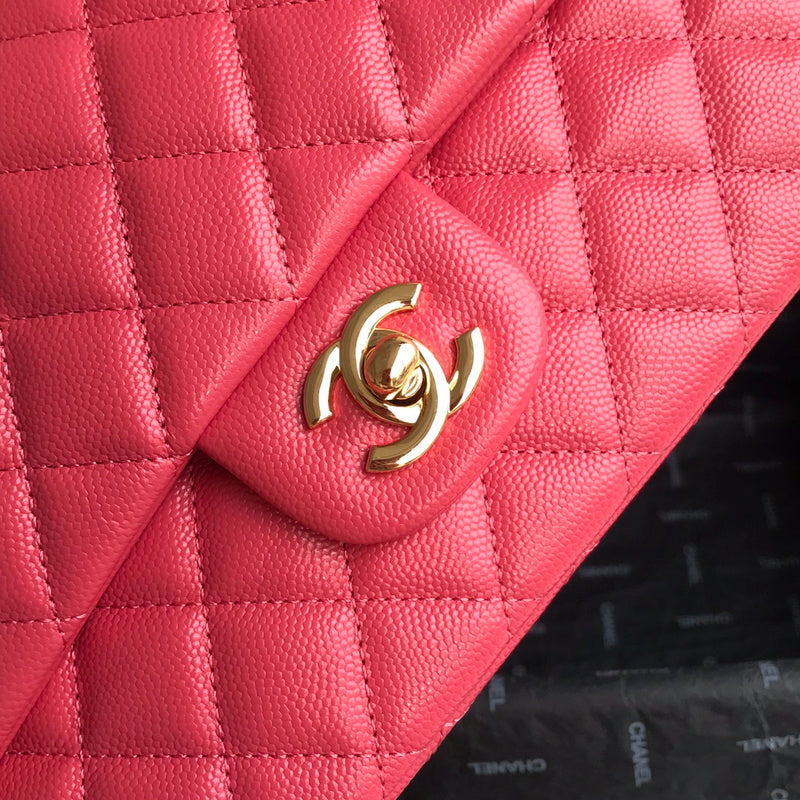 LO - CHL  BAGS FOR WOMEN - FASHION LUXURY BAGS -2219