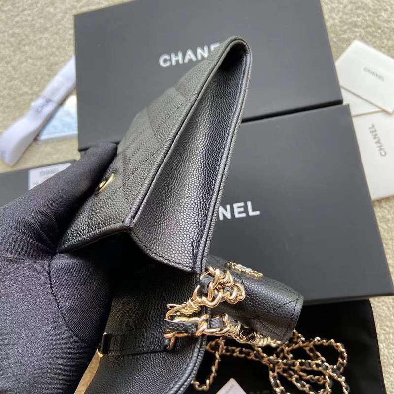 LO - CHL  BAGS FOR WOMEN - FASHION LUXURY BAGS - 317