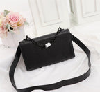 BB - YSL Bag - 2613