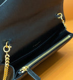 BB - YSL Bag - 2013