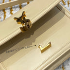 BB - YSL Bag - 3829