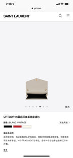 BB - YSL Bag - 3701