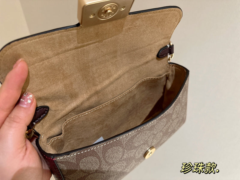 LO - CCH Bags - 250