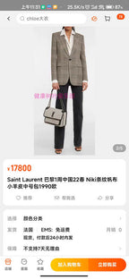 BB - YSL Bag - 3658