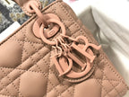 LO - DYOR   BAGS FOR WOMEN - FASHION LUXURY BAGS 189