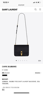BB - YSL Bag - 3785