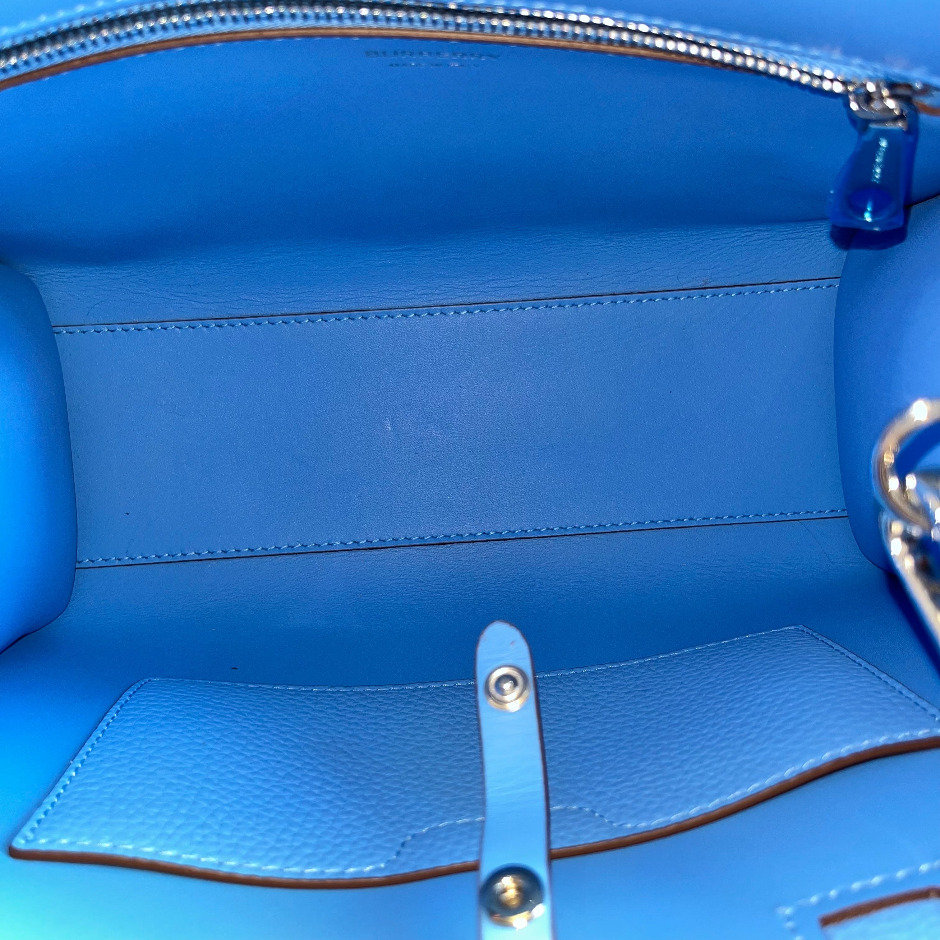 B-BERRY Frances Mini Grainy Calfskin Tote Bag