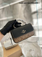 LO - CCH Bags - 304
