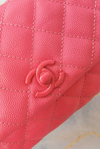 LO - CHL  BAGS FOR WOMEN - FASHION LUXURY BAGS -2311