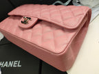 LO - CHL Bags - 2155