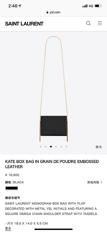 BB - YSL Bag - 3720