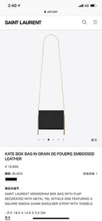 BB - YSL Bag - 3720