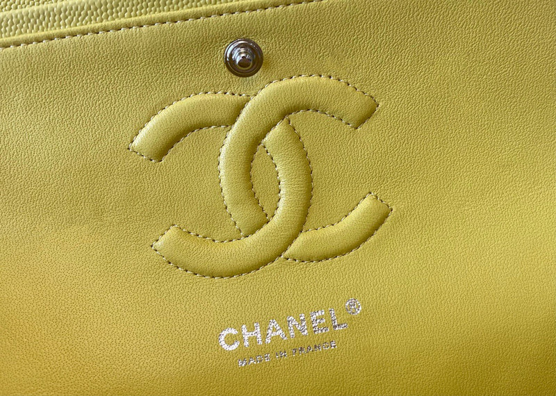 LO - CHL  BAGS FOR WOMEN - FASHION LUXURY BAGS - 1132