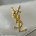 YSL BAGS - WOMEN LOVE LUXURY BAGS - 2465