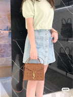 BB - YSL Bag - 3747